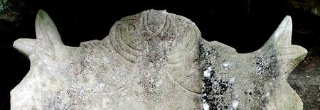 巨型沙塘鳢图片